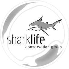sharklife_logo